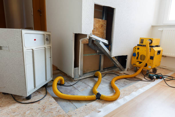 Best Mold Remediation for Healthcare Facilities  in Nedrow, NY
